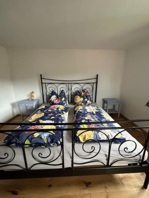 Charmante Farbenfrohe Wohnung Fuer Zwei 피쉬바하우 외부 사진